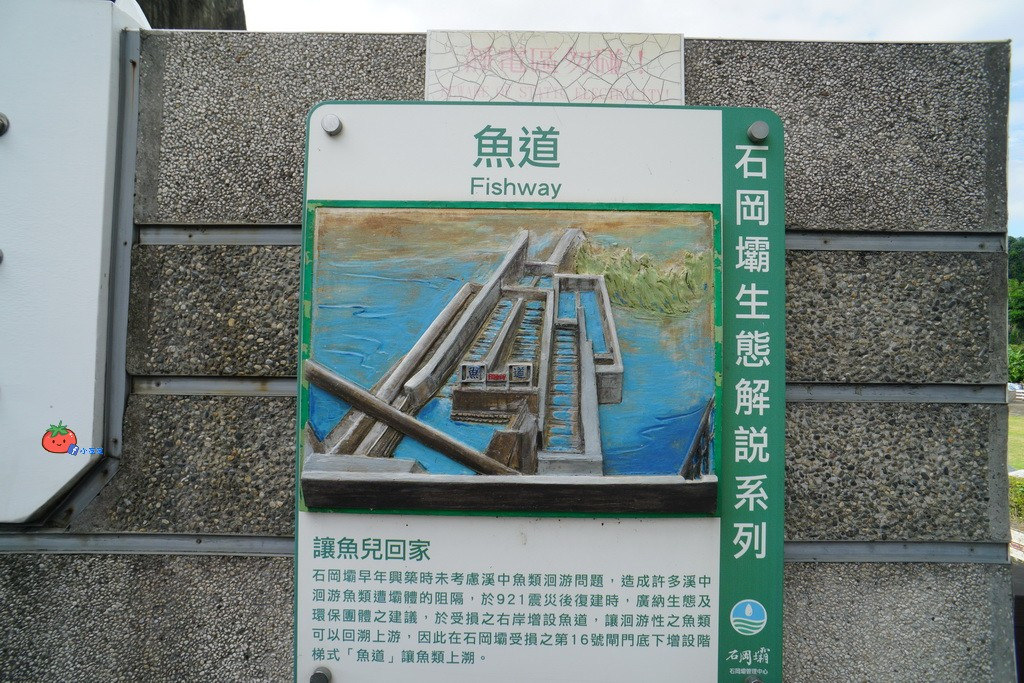 石岡水壩 東豐自行車道景點