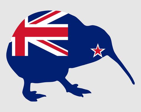 new-zealand-facts-kiwi-bird-new-zealand-flag
